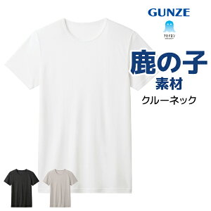 �y�X���S�i�|�C���g10�{�z �A�Z�h���� ���̎q �N���[�l�b�NT�V���c �j�� �O���[ GUNZE�y2���܂Ń��[���։z| �����Y t�V���c �ێ� �e�B�[�V���c ���΍� �J�b�g�\�[ �C���i�[�V���c ���� ���� 
