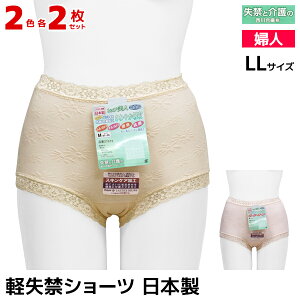 2F2 4Zbg qbvl yփV[c LLTCY { 썇@ |pc V[c  y փpc p փV[c VjA ARpc  AR A R