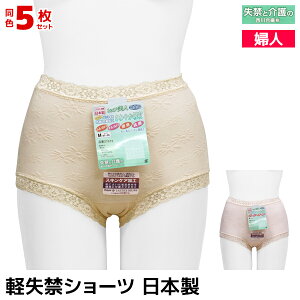  F5Zbg qbvl yփV[c { 썇@ | pc V[c  y փpc p փV[c VjA ARpc  AR A R zV[c