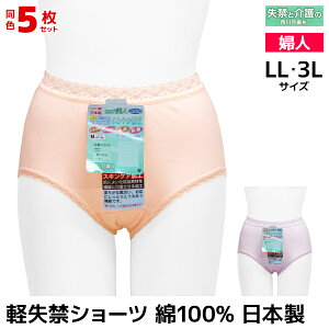  F5Zbg qbvl yփV[c LLTCY 3LTCY 100% { 썇@ | pc V[c  y փpc p փV[c VjA ARpc  AR