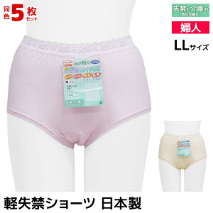  F5Zbg qbvl yփV[c LLTCY { 썇@ |pc V[c  y փpc p փV[c VjA ARpc  AR A R z