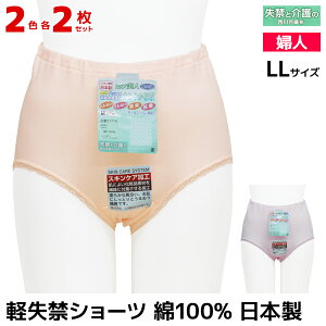 2F2 4Zbg qbvl yփV[c LLTCY 100% { 썇@ |pc V[c  y փpc p փV[c VjA ARpc  AR 