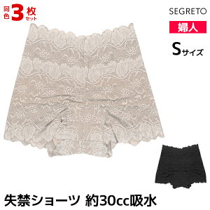 50%OFF 3Zbg SEGRET ZO[g [X ARpc 30ccz p wlp fB[X fBX ARV[c փV[c փpc | A 킢 fB[XC