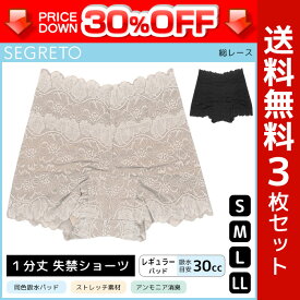 送料無料3枚セット SEGRET セグレート 総レース 尿漏れパンツ 約30cc吸水 女性用 婦人用 レディース レディス 尿漏れショーツ 失禁ショーツ 失禁パンツ | 大きいサイズ サニタリーパンツ サニタリーショーツ 尿もれ かわいい レディースインナー 婦人肌着 女性下着 産後