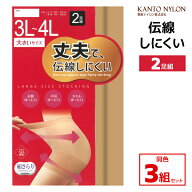 送料無料 同色3組セット 計6足 大きいサイズ 丈夫で伝線しにくい 2足組 3L-4Lサイズ パンスト ストッキン…