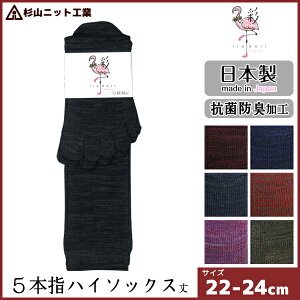 RjbgH EM\bNX  ǂ wlI[V[Y fB[XnC\bNX 5{w {   C | wlC p fB[X fBX nC\bNX ܖ{w\bN