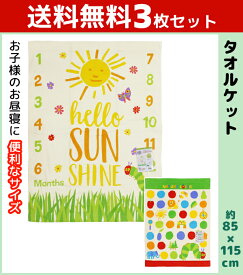 楽天市場 はら ぺこあおむし タオルケットの通販