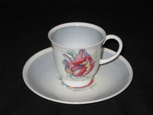 yAeB[NzX[W[EN[p[pbg`[bv@f~^XJbv\[T[yParrot Tulipz