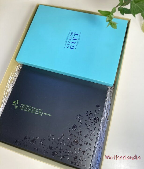 楽天市場 カタログギフト ききょう ひとくちようかんとお茶のギフト 出産内祝い 内祝いギフト 結婚内祝い 新築内祝い 快気内祝い 引き出物 入学内祝い お祝いの品 成人式内祝い 七五三お祝い 七五三内祝い 引き出物 お返し カタログギフト ようかんギフト お茶