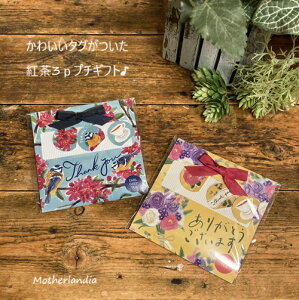 yyzyz40OFFʌyyzMeet & GreeteB[obOMtg v`Mtg mxeB ސE  zA v`Mtg ސE̕i@   