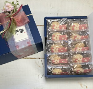 ybZ[V[Mtgz炳Mtgu{[̂悤ȓNbL[3pv1Zbg10聚t[gobOij1tv`Mtg َq  oYj ސEA̕i 