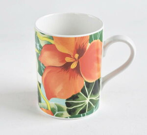 yMtgEv[gE̓E̓z@essex @tH[V[Y@ā@nCrXJX@K[f@}OJbvy1000~|bLzyVzy̓z