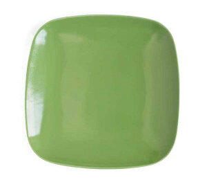 hX^CXgBRIGHT@GREEN@uCgO[@ᑐF@@XNEFA[v[g@@lpM@SQPLATE@25cm@@J[H@΁@