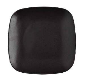 hX^CXgPIANO@sAm@F@@XNEFA[v[g@@lpM@SQPLATE@25cm@@J[H