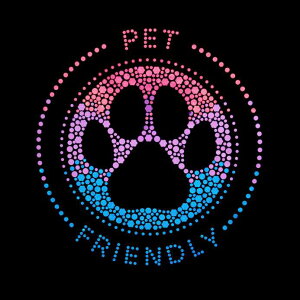 yXpOz XpR[`[t iybg `[tj ACڒ LTCY