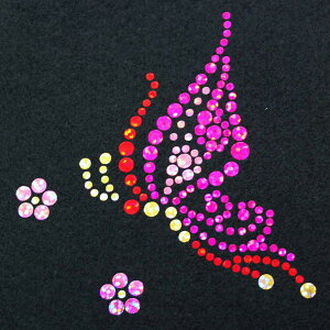 yXpOz XpR[`[t isNjMTCY ACڒ