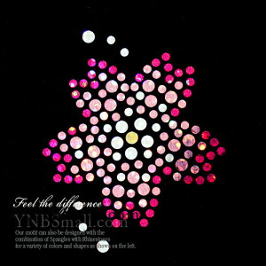 yXpOz XpR[`[t ỉԁj ACڒ STCY