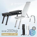 【10人に1人が必ずタダ！さらに10%OFFクーポン】トレーニングベンチ Pure Series 可変式 インクライン フラット 5段階…