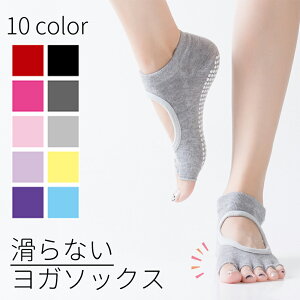 yN[|zzzyzK C \bNX K\bNX ~߁@5{w seBX zbg K EFA  fB[X Y g[jO W Xgb`  