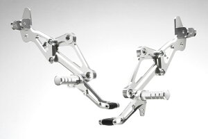 STRIKER XyVXebvLbg Type2 1|WViVo[j/[t@[1100 SS-AA202SLT