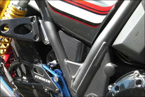 STRIKER GAfUC U[o[^NJo[/ZRX1200 DAEGi09N-j SAD-RTC101C