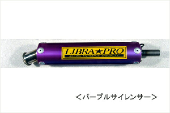 tzr50rリブラプロチャンバー いいつけ