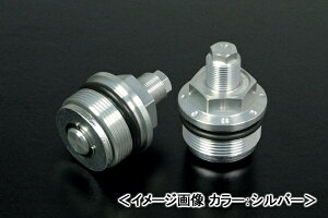 SP CjVAWX^[ibhj/CBR250R 06-06-0008