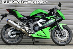 BEET NASSERT Evolution Type-II iu[`^j/Ninja250SL 0227-KD2-BL