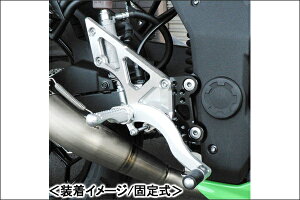 BEET �n�C�p�[�o���N�i�V���o�[/�Œ莮�j/Ninja250SL 0111-KD2-20
