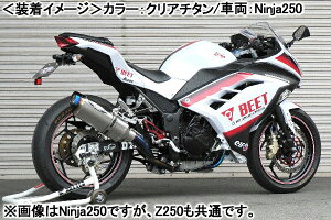 BEET Z250 i13-17Nj NASSERT Evolution Type-II iNA`^j 0227-KC3-50
