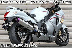 BEET NASSERT Evolution Type-II iu[`^j/GSX1300R nuTi14j 0222-S38-BL