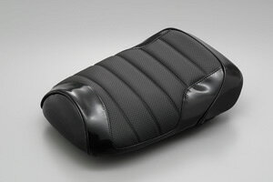 DAYTONA V[gJo[iBSC[jubN/ZOOMER[AF58]EZOOMER[AF58]iFIj 70302