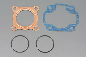 DAYTONA I[o[z[Lbg/RJOGEX[p[JOG-ZREBJ 95416