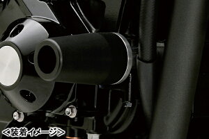 DAYTONA GWveN^[/ZRX1200DAEGi09-13j 79941