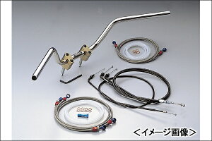 HURRICANE CB1000SF Z2-TYPE nhKITiz_[J[ `^j u[Lz[XFIWi XeX HBK503S