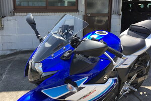 ACRYPOINT GSX250R �i17�N-�j �X�g���[�g�^�C�v�X�N���[�� �i�N���A�j 130011