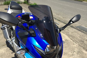 ACRYPOINT GSX250R i17N-j Xg[g^CvXN[ iX[Nj 160221