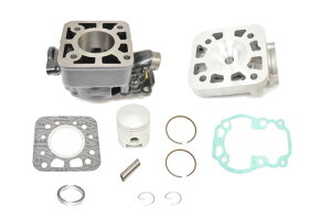 KN RG50K}ESMX50EnX[50 V_[Lbg STDTCYi41mmjwbht S1009