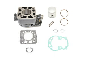 KN RG50K}ESMX50EnX[50 V_[Lbg STDTCYi41mmjwbhȂ S1009-HN