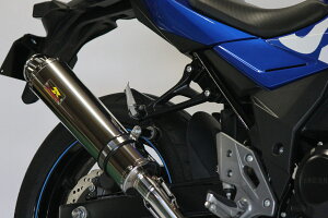 REALIZE GSX250R m2BK-DN11An AriaiAAjXe}t[Type-CiJ[Ghj 520-SO-003-01