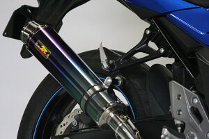 REALIZE GSX250R m2BK-DN11An AriaiAAj`^}t[Type-SiXbVGhj 520-SO-001-02