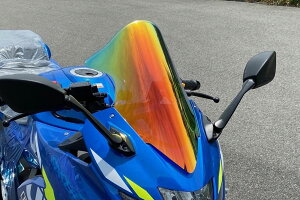 ACRYPOINT WNT[SF250 ~[XN[ 130313