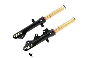 KN NCY tgtH[NiN-21j/CjV S[h/VOiXX2^-3^ 999E01N214C6GO-KN