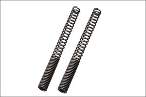 DAYTONA RtH[gtgtH[NXvO/}WFXeBSm2LD1n 92020