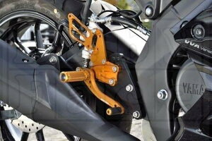 BABYFACE �x�r�[�t�F�C�X YZF-R125 23-/YZF-R15 23- ���[�X�R���Z�v�g�X�e�b�v�L�b�g �S�[���h
