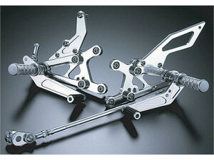 �A�O���X B�^S �L�b�g ���[�X�d�l YZF-R6 -02 (312-259-000)
