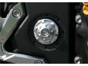 �A�O���X �s�{�b�g�L���b�v �V���o�[ Z1000 08 (359-479-000S)