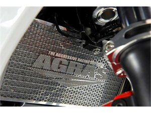 �A�O���X �R�A�K�[�h ���W�G�^�[�{�I�C���N�[���[SET YZF-R1�^M 15- (309-276-B00)