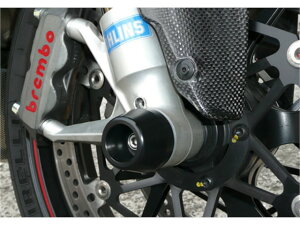 �A�O���X F�A�N�X���v���e�N�^�[ �R�[�� �A���~�^�u���[ 1199Panigale (343-559-A0B)