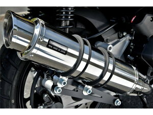 ADV160F2023`(8BK-KF54) }t[ BEAMS r[X R-EVO2 XeX tGL][Xg G1013-54-008